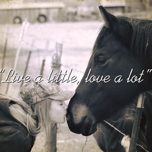 Meet your Posher, Mckenna - Picture 1 of 1